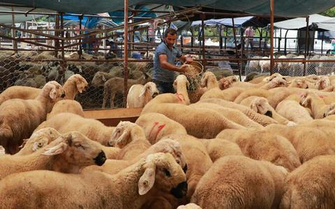 bayram ne zaman 2024 kurban bayrami tarihleri belli oldu kurban bayrami hangi tarihte jyWLqLbL