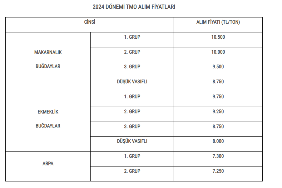 bugday alim fiyati 2024 son dakika belli oldu tmo bugday ve hububat PGr2HJk4