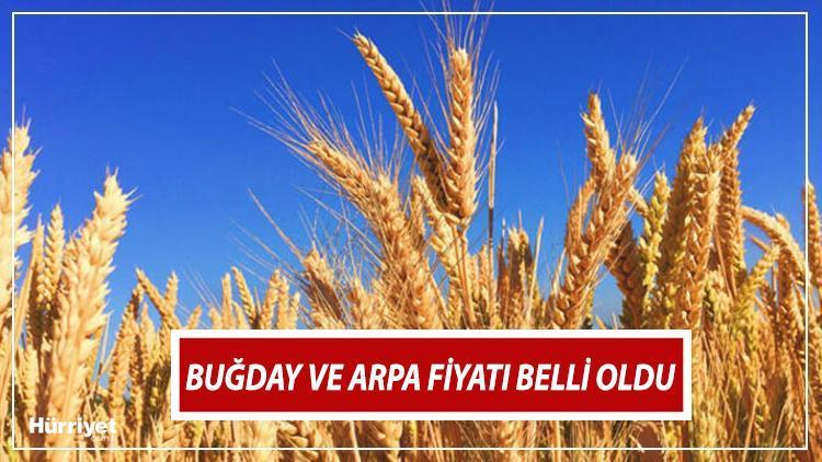 BUĞDAY ALIM FİYATI 2024 SON DAKİKA BELLİ OLDU  | TMO buğday ve hububat alım fiyatı ne kadar oldu, kaç TL? 1 Ton buğday kaç TL? İşte güncel taban fiyatları