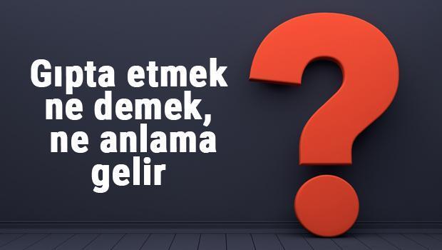 Gıpta ne demek? Cümle içerisinde örnekle Gıpta kelimesinin anlamı