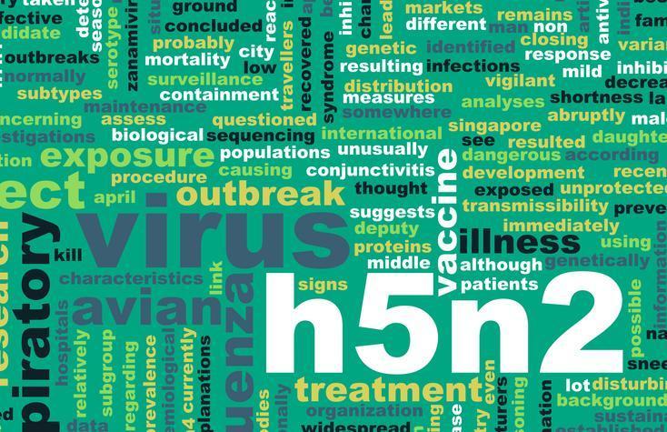 H5N2 nedir, nasıl bulaşır? DSÖ uyardı! İşte kuş gribi virüsü H5N2 belirtileri