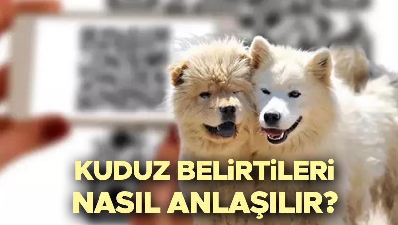 KUDUZ NEDİR, BELİRTİLERİ NELERDİR? | Kuduz nasıl bulaşır, kuduz aşısı ne zaman yapılır? İşte kuduz hastalığı belirtileri!