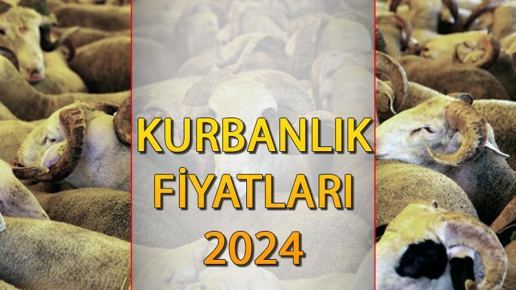 KURBAN FİYATLARI 2024 DİYANET || Küçükbaş, büyükbaş kurbanlık fiyatları 2024 ne kadar, kilosu kaç TL?