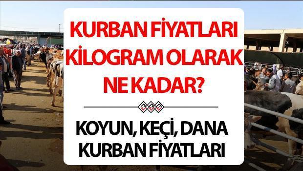 KURBAN FİYATLARI (KG) 2024: Koyun, keçi küçükbaş ve dana, büyükbaş kurban fiyatları ne kadar? İşte, pazarda son durum