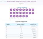 on numara sonuclari sorgulama ekrani milli piyango online tikla hizli ogren 20 mayis FlOQnGe1