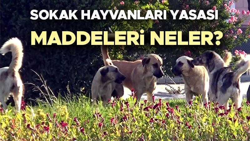 Sokak köpekleri uyutulacak mı son dakika haberleri (9 Haziran 2024) | Sokak hayvanları yasası Meclis’ten geçti mi, maddeleri neler? İşte sokak hayvanları teklifinde son durum!